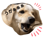 670335581