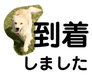 670335585
