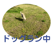 670335586