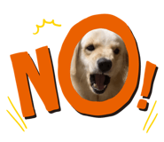 670335588