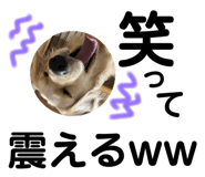 670335590