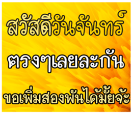 67033878