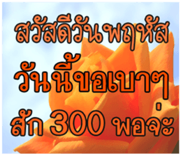 67033885