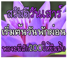 67033889