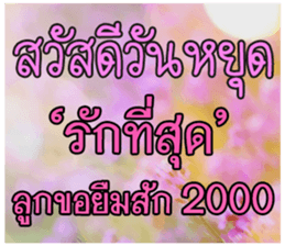 67033907