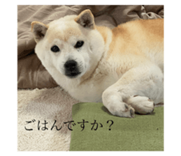 670345407