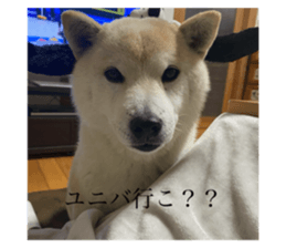 670345411