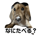 670346499