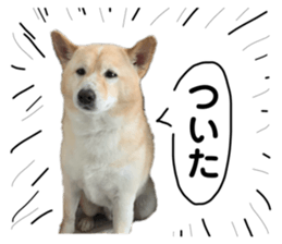670360694