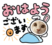 670437737