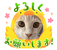 670437745