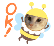 670437757