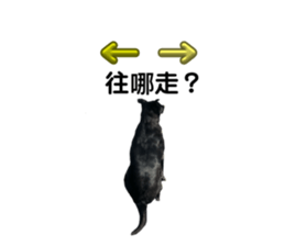 670494893