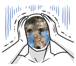 670502281