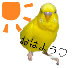 670502683