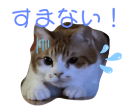 670511434