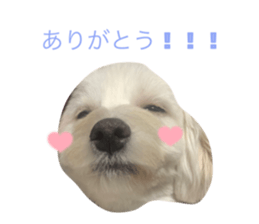 670634485