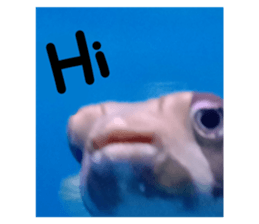 670656606