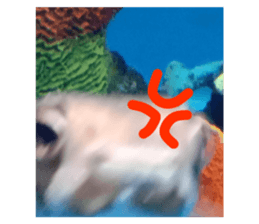 670656607