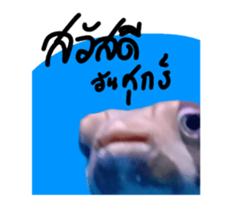 670656617