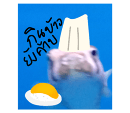 670656619