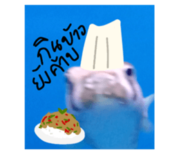 670656620