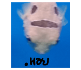 670656624