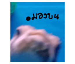 670656625