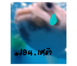 670656626