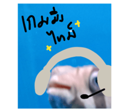 670656628