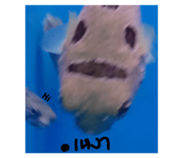 670656629