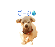 670704309