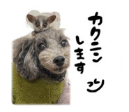 670731306