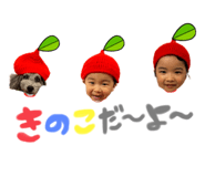 670731315