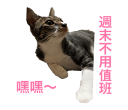 670734898