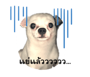 670739760