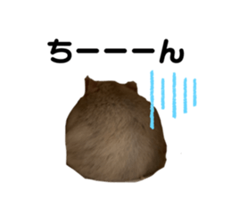 670743023