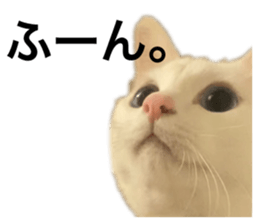 670747528