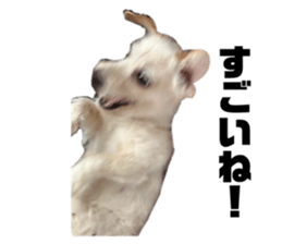 670765627