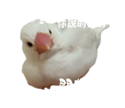 670772085