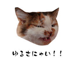 670778568