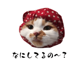 670778569