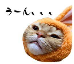 670778574