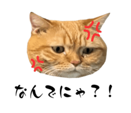 670778577
