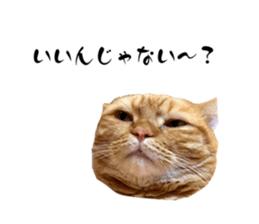 670778579