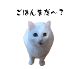 670778585