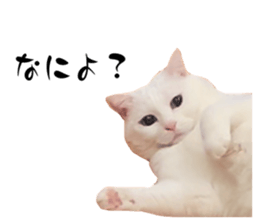 670778588