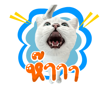 คิมบับครับผม รูปที่ 1