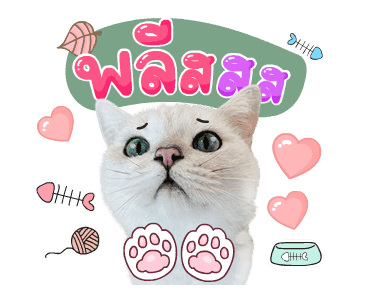 คิมบับครับผม รูปที่ 7