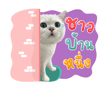 คิมบับครับผม รูปที่ 8